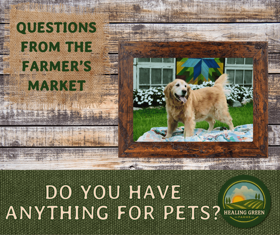 A framed photo of a happy golden retriever on a blanket is on a wooden background with text: “Questions from the Farmer’s Market. Do you have anything for pets?” Healing Green Farms logo is in the corner.
