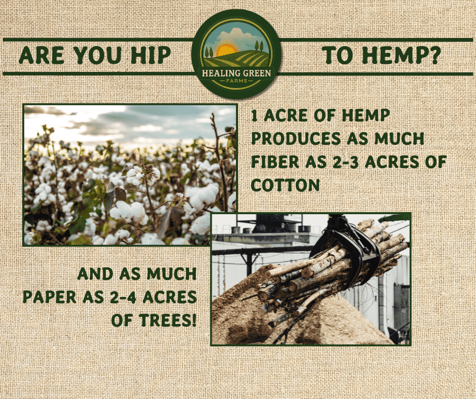 An infographic for Healing Green Farms compares hemp and cotton fiber yields, stating that 1 acre of hemp produces as much fiber as 2–3 acres of cotton and as much paper as 2–4 acres of trees. Cotton and log images included.