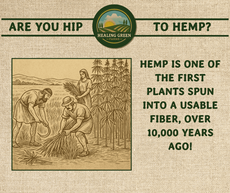 A vintage-style illustration shows people harvesting hemp plants. Text reads: “Are you hip to hemp? Hemp is one of the first plants spun into a usable fiber, over 10,000 years ago!” Healing Green Farms logo is at the top.