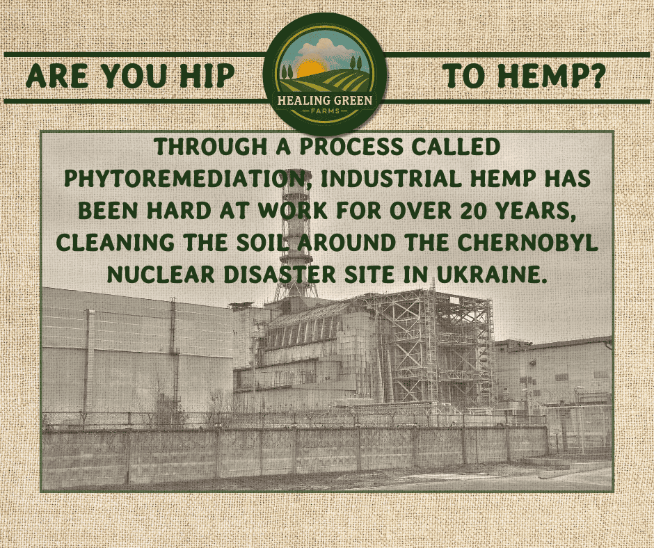 A sepia-toned image of the Chernobyl nuclear site with text explaining that industrial hemp has been used for over 20 years to clean the soil through phytoremediation after the disaster in Ukraine. Healing Green Farms logo is at the top.