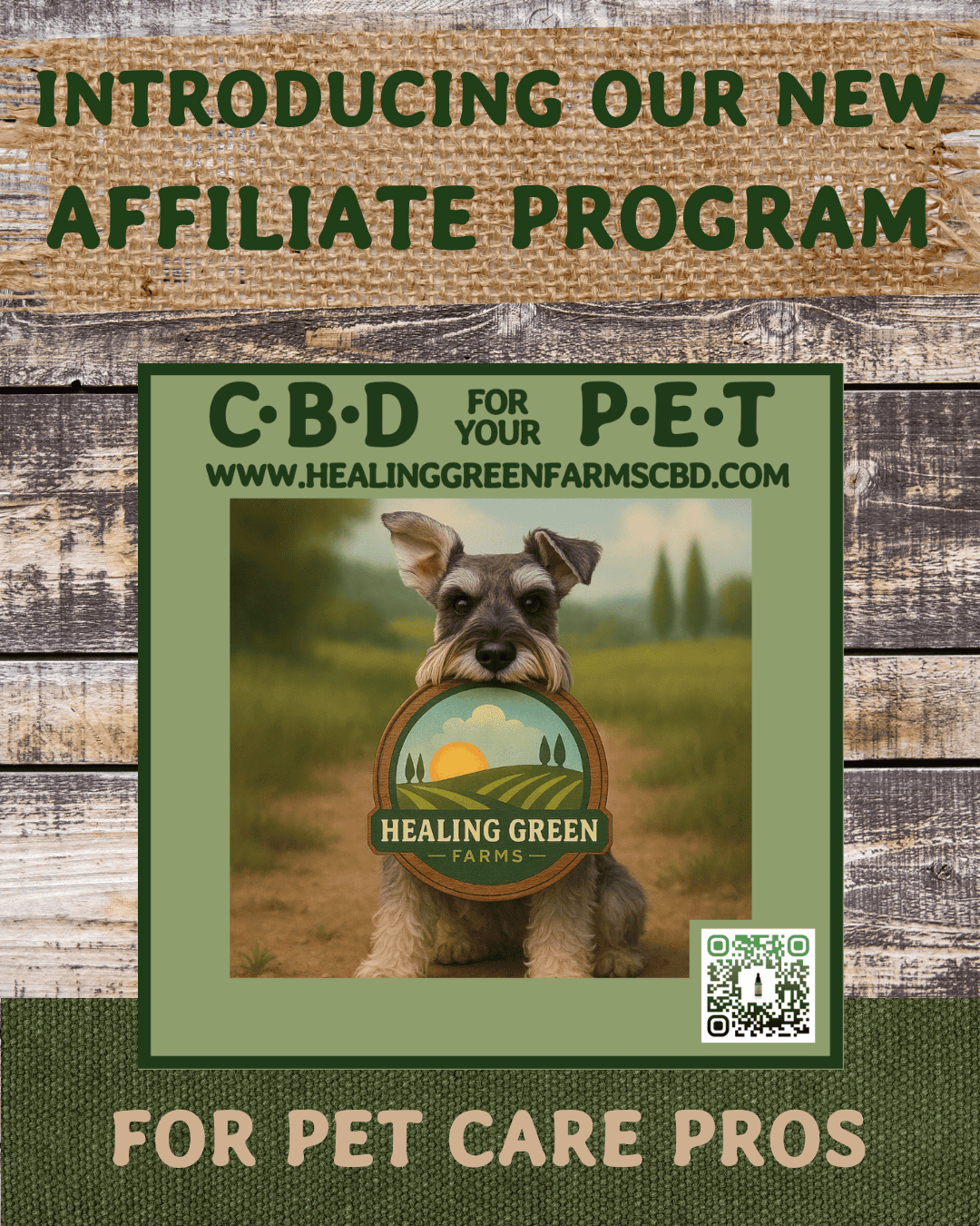 A promotional flyer for Healing Green Farms' affiliate program features a dog holding a logo sign, website link, and text promoting CBD for pets, targeting pet care professionals.